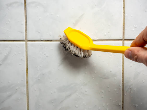 Best Emergency Mold Removal  in Delano, MN