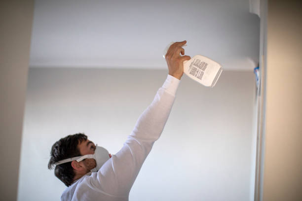 Best Emergency Mold Removal  in Delano, MN