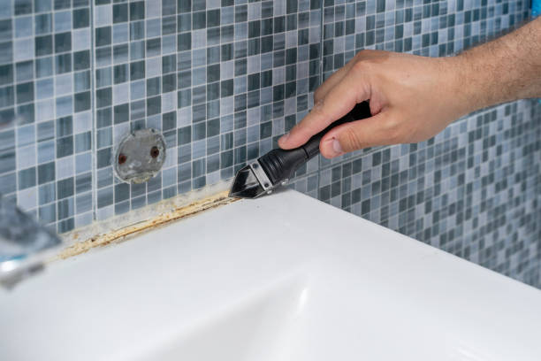 Professional Mold Removal in Delano, MN