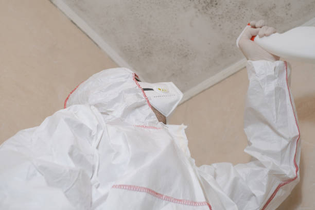 Best Professional Mold Removal  in Delano, MN