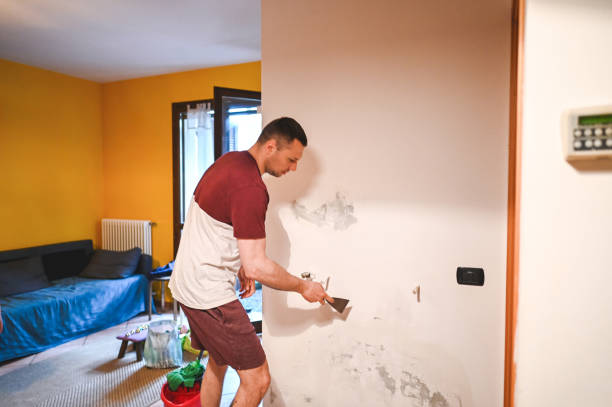 Best Toxic Mold Removal  in Delano, MN